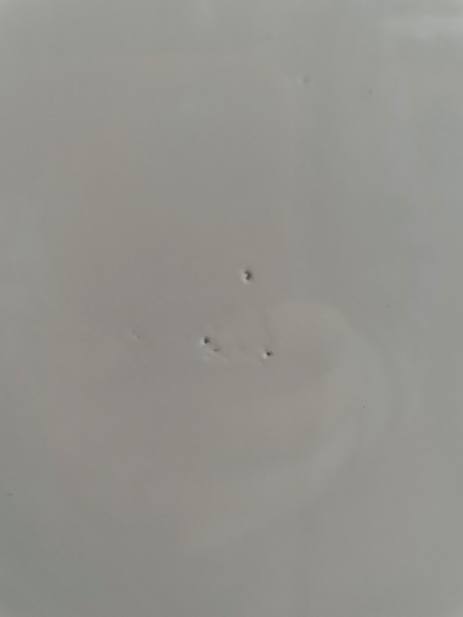 Squemma826's tweet photo. @IKEAUKSupport - customer service line is closed due to demand - we bought this item and it was severely damaged in the packaging - can you help? https://t.co/csQM46eTVR