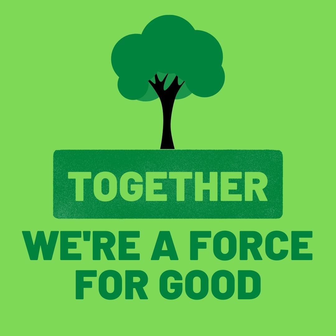 Time4Trees_'s tweet photo. “We understand that reversing deforestation and combating climate change is complicated, daunting and
virtually impossible single-handedly, but we wanted to create an avenue that opens the possibility for
individuals, families or businesses to do their bit to help.” https://t.co/qxWjgywjmj