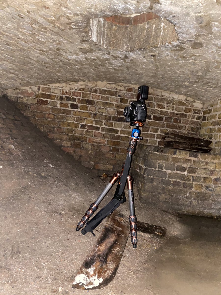 AvantPhoto tweet media