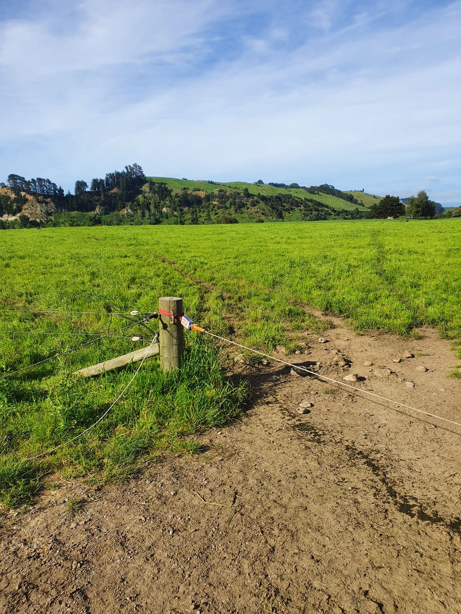 One other thing we have is the batt latch. At a certain time the handle releases and the cows can start walking to shed. Again just another thing to try and save time.