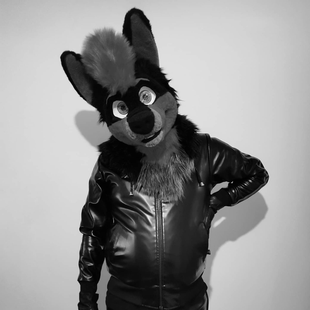 ZukiWolfy's tweet photo. Bark~

#wolf #red #furryfandom #furry #furries #fursuit #fursuiter #fursuiters #fursuithead #fursuitheadwip #starslikeroses #cute #adorable #fursona #furryoc #furrypride #fursuitersofinstagram #furriesofinstagram #fursuitsofinstagram #anthro #fursuiting #furrycommunity https://t.co/WcVoKoPqaC