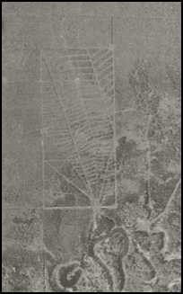 Above the gorgeous oxbow wetland, there's a network of drainage plots (20 or 40 meter spacing) carved into the treed fen. This was to see if draining peat soils could boost Alberta's forestry industry. I just had to find these plots. Trenches were still intact decades later! 5/