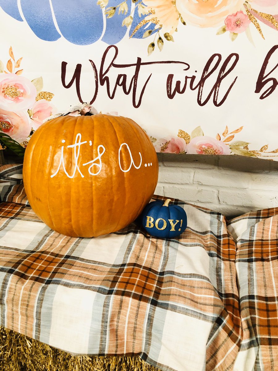 FaragozaJewel's tweet photo. Jay William, you already have us over the moon! We love you so much already and we can’t wait to meet you!💙
I’m going to have a son y’all!! I’m going to be a BOY mom!! Wwhhhhaaaatttt??!!
We are overflowing with joy!💙💙💙
#JayWilliam https://t.co/8aXoNmKU9h