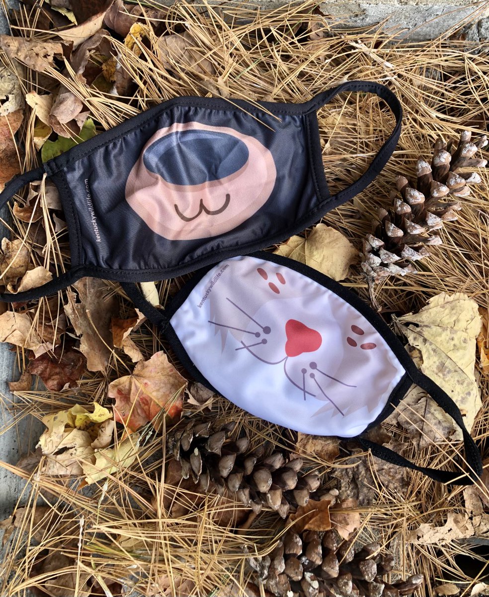 KFWFoundation's tweet photo. Don't miss your chance! Donate $15 and receive 2 FREE face masks. Proceeds support conservation in Kentucky. Limited quantities available! #kentuckywildlife #conservationeducation
https://t.co/Q3cCyLWD6d https://t.co/lEtsXKdXau