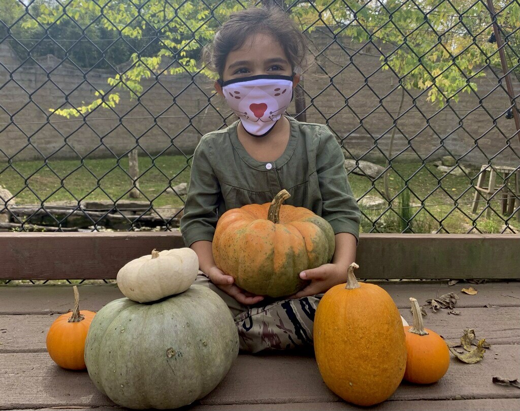 KFWFoundation's tweet photo. Don't miss your chance! Donate $15 and receive 2 FREE face masks. Proceeds support conservation in Kentucky. Limited quantities available! #kentuckywildlife #conservationeducation
https://t.co/Q3cCyLWD6d https://t.co/lEtsXKdXau