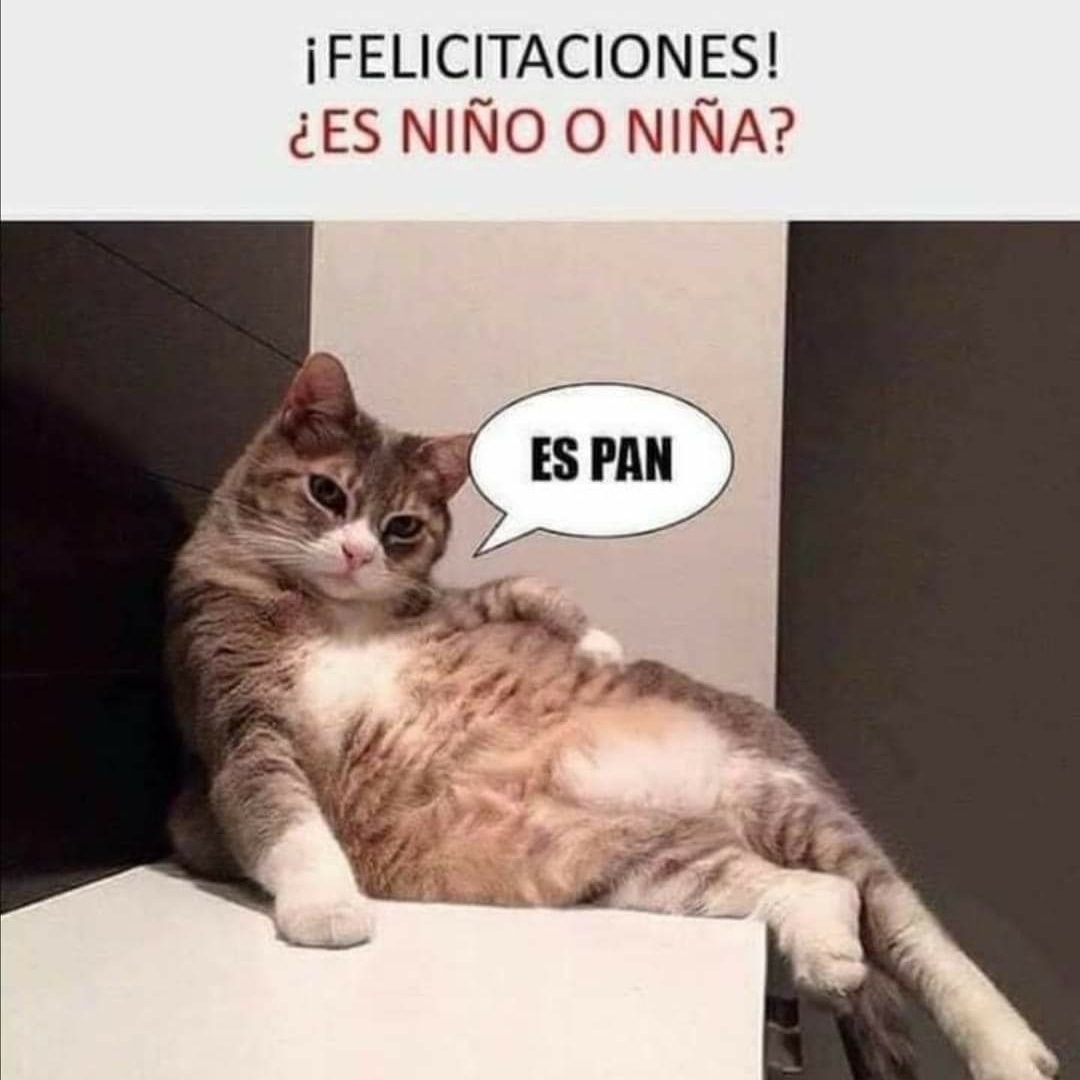 El Huevo Negro (@unhuevonegro) on Twitter photo 