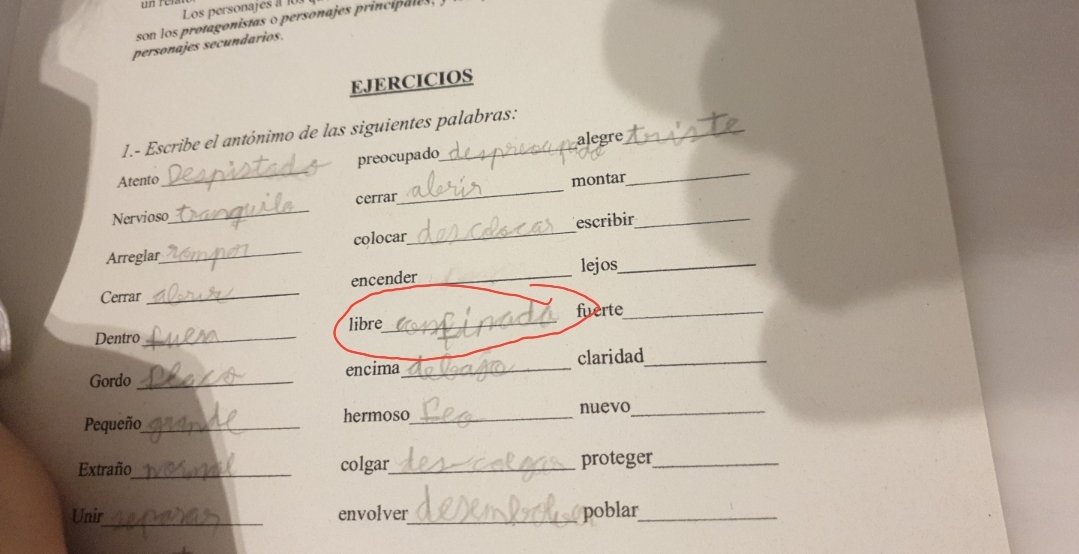 diegorh's tweet photo. Una vez más los niños nos enseñan la naturalidad del cambio cuando tienes la mente abierta. #GenialDavid https://t.co/vX87zMenYG