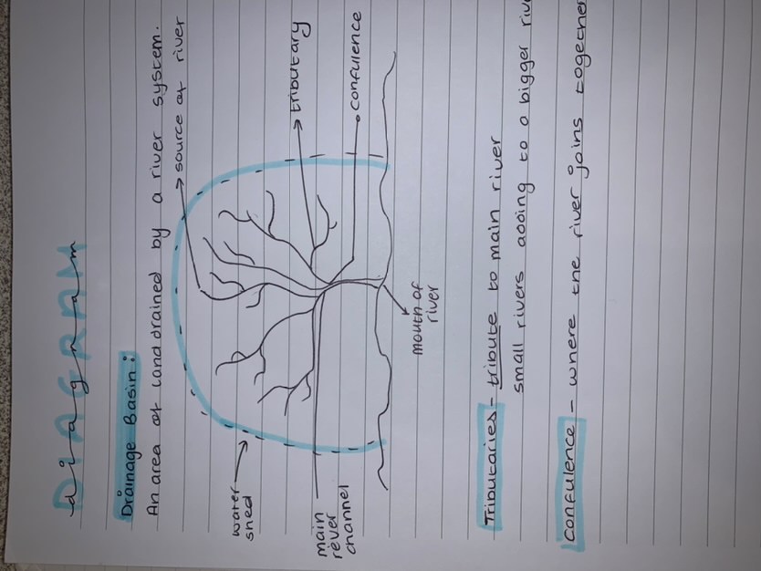 x.codeyyy.x tweet media