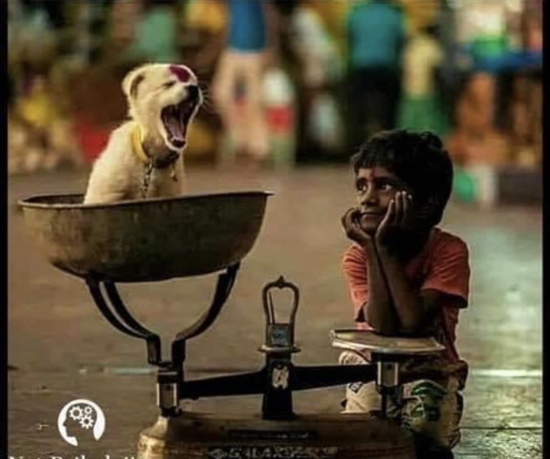 Ne kadar zengin olursanız olun, 
Ne kadar makamınız yüksek olursa olsun, 
Gönül terazinizde merhamet ağır basmadıkça
“İNSAN”olamazsınız...