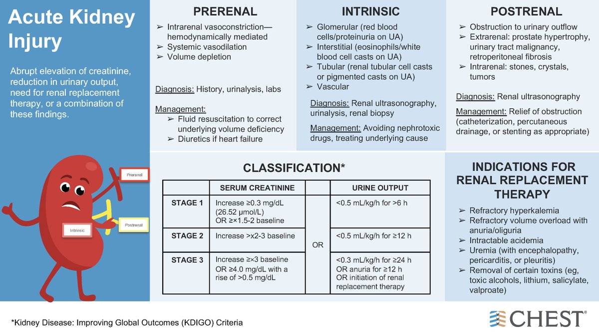 accpchest's tweet photo. Critically ill patients with severe #COVID19 may be at risk of acute kidney injury (AKI). Get an overview of the causes and classification of AKI, diagnosis and management strategies, and indications for renal replacement therapy: https://t.co/QVYIzpLWqe https://t.co/x26vVDARgz