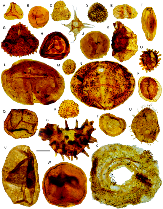 Here, she uses crazy amounts of data: More than 3000 2D seismic lines, 250 wells and integrated stratigraphic and palynological data... 2/6