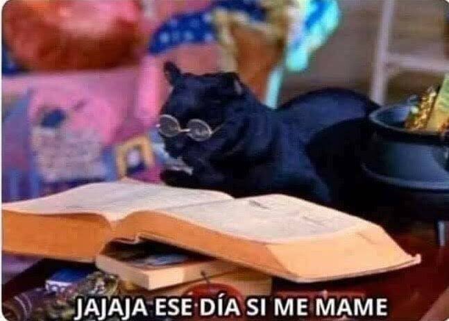 Fulana del Rey🧣🤴🏻💉💊 tweet media