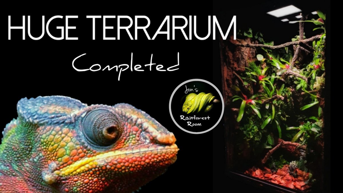 JonsRainforest's tweet photo. Dont miss Berts finished terrarium in todays video where I unbox the plants and finally get this planted. Hit the link in my bio to check it out... 🌿☘🌱🌿
https://t.co/FVbgXVaYMR https://t.co/gH9wXnfsrE