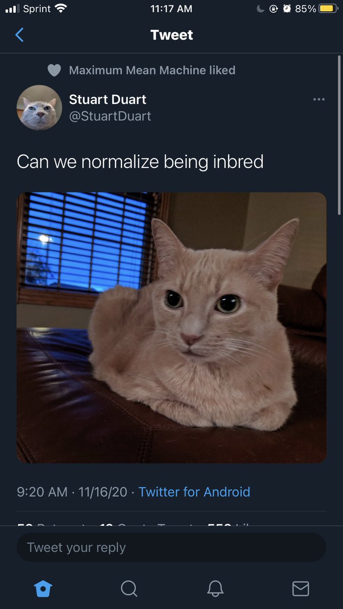 okay this one is  @ImmPsycho