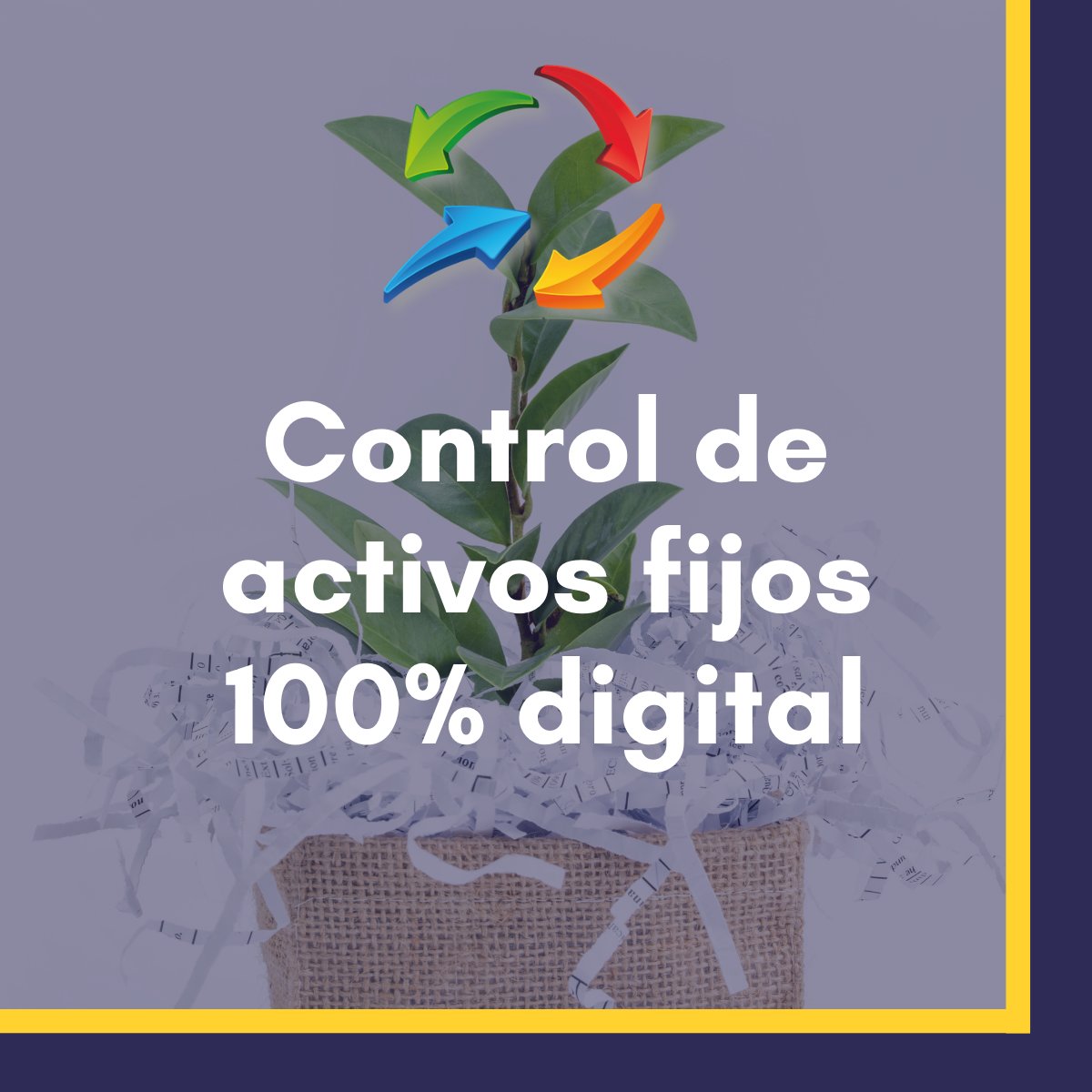 GenApp_ec's tweet photo. ¿Sabías que GenApp es la única solución que ofrece control activos 100% digital en el país?

#controldeactivos #administraciondeactivosfijos #auditoria #contabilidad #activosfijos #ecuador https://t.co/mlCsKqYJ38