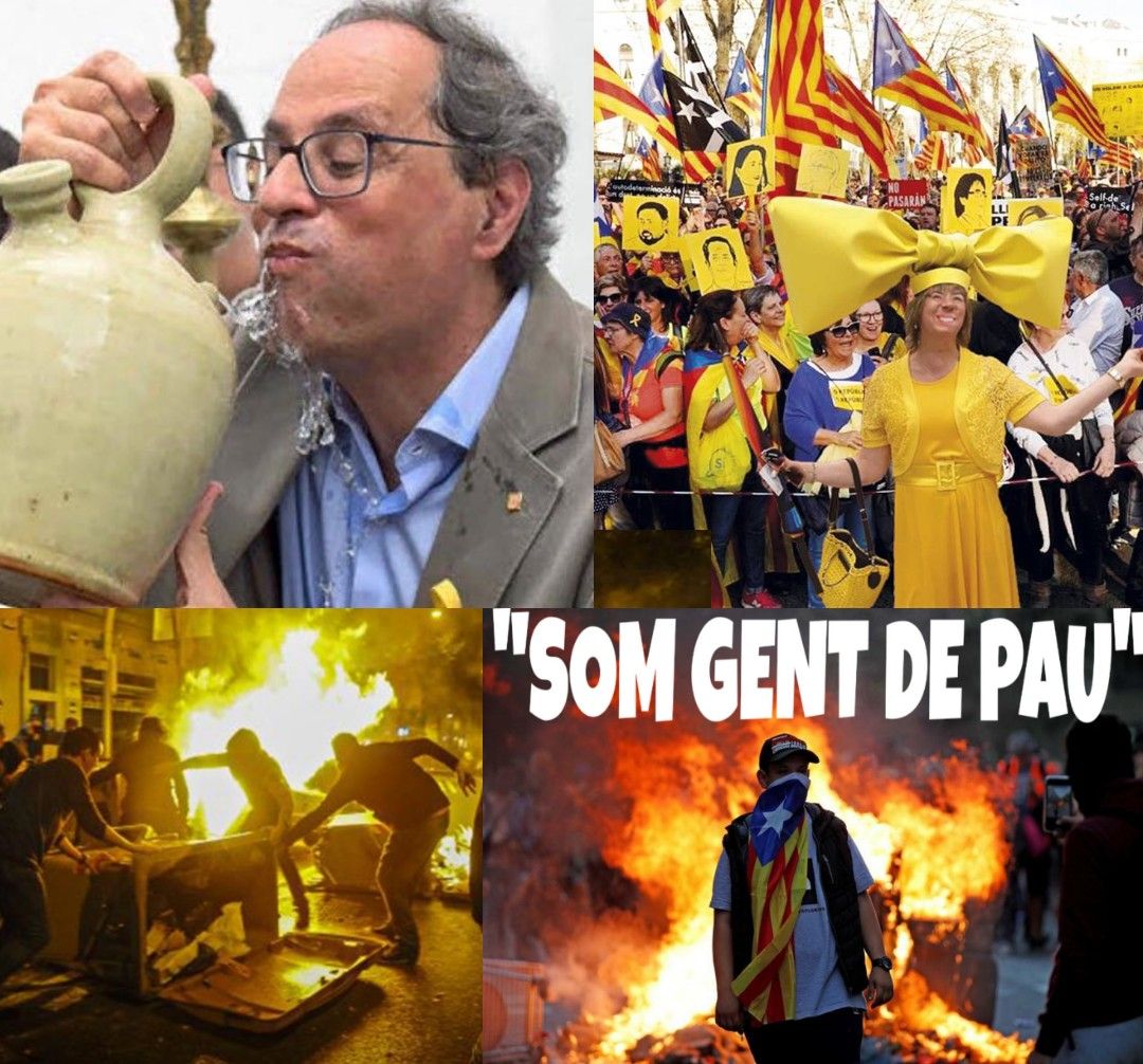 BelenYelmo's tweet photo. Ni gente de paz, ni revolución de las sonrisas. Golpistas y sediciosos aunque desde el gobierno les allanen el camino
#LaSilenciosaCat 
#StopPancatalanismo 
#StopLeyCelaá https://t.co/VU6UuOvmU4