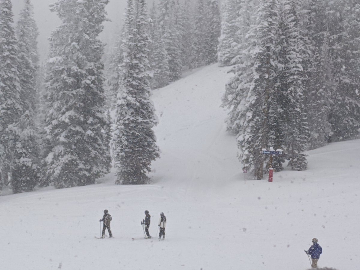 ambernicole404's tweet image. Skiing "down" #duster is never a mistake you want to make. I did it, once.  
It is GREAT to mountain bike up, however. 

#referencephoto
#snow
#steamboatcolorado
#steamboatspringsco
#colorado
#snowshoetrail
#skiing
#snowing
#snowflakes