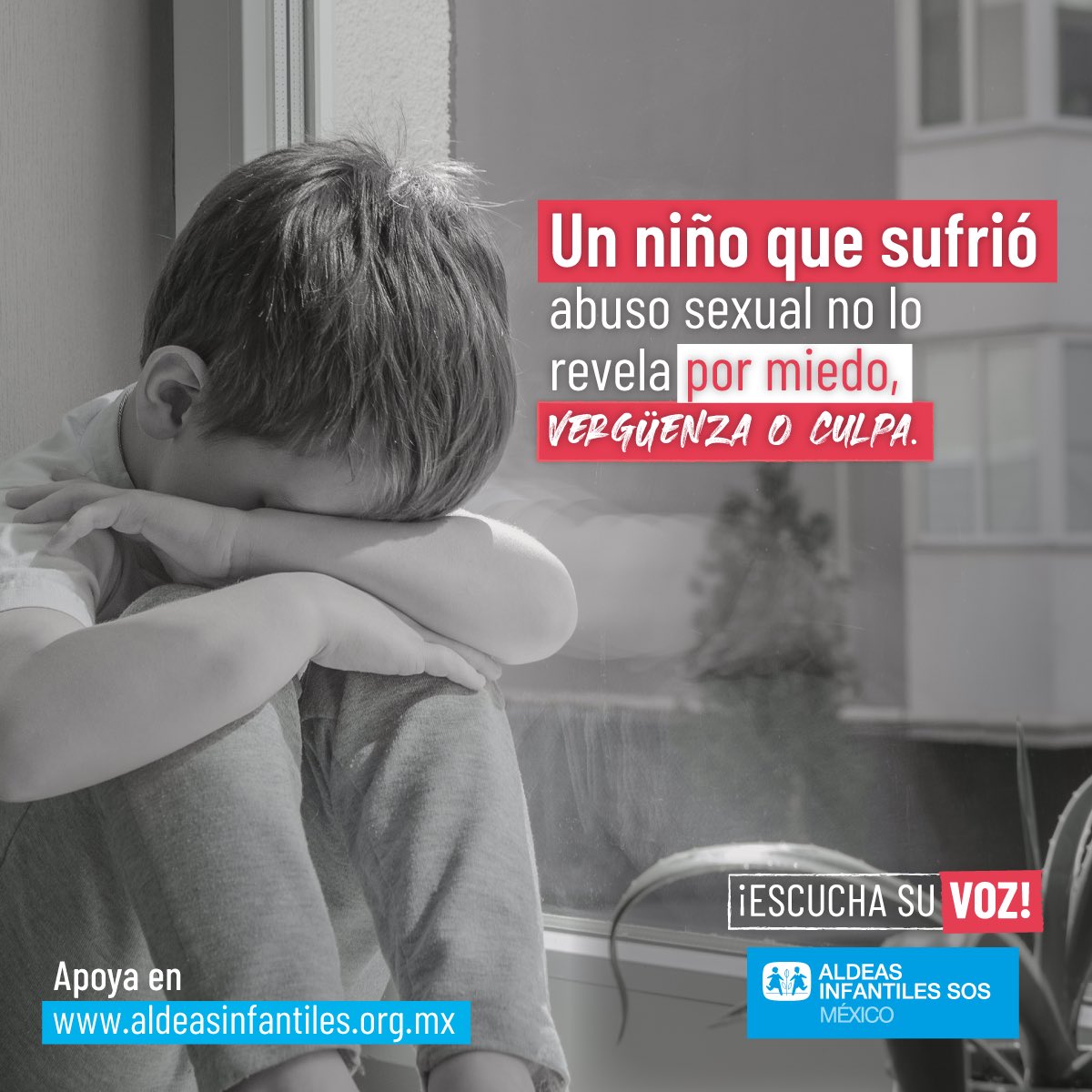 Mikel Alonso tweet media