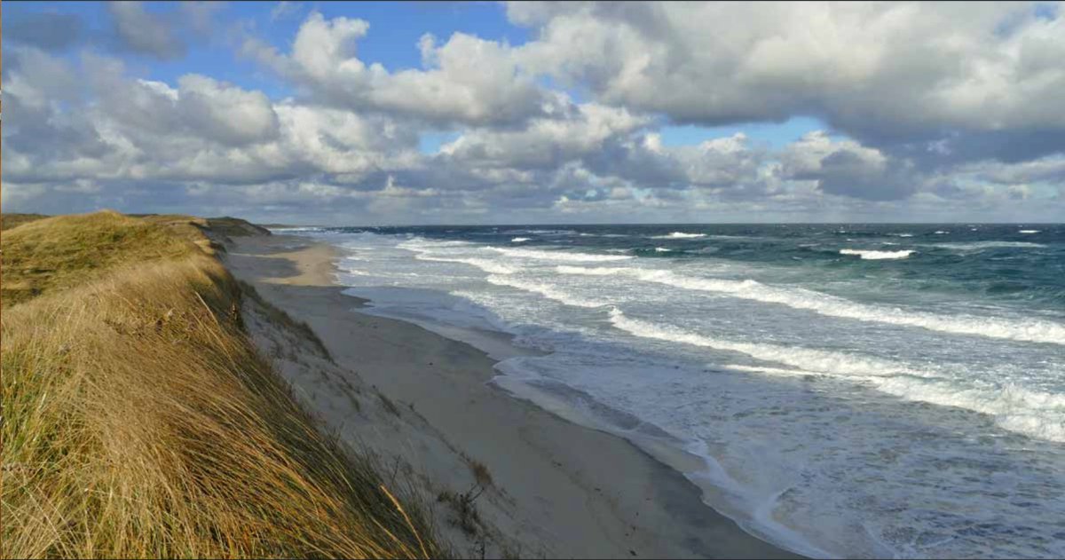 Sable_Institute's tweet image. (1/2) November 15the: It was a cool &amp;amp; breezy #autumn day on #SableIsland, with broken cloud &amp;amp; occasional showers (#snowpellets in the am), max temp 8.5C. A view from a high dune overlooking the north beach: with the strong NW #wind, 31kts, lines of #surf are rushing ashore …
