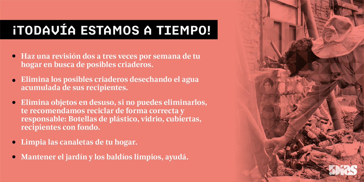 5DiasPy's tweet photo. 🦟 Con el inicio de la temporada de lluvias y las altas temperaturas, se favorecen las condiciones para la reproducción del #dengue
Acá te dejamos algunos tips importantes y los más eficaces para ayudar a su prevención.
¡Todavía estamos a tiempo! ☝
#PySinCriaderos https://t.co/LxAVg39nO7