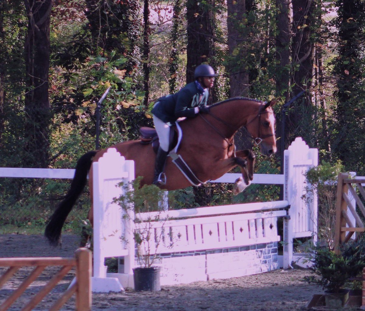 KellenSullivan1's tweet photo. jumps bad https://t.co/CfbPoA5PDU