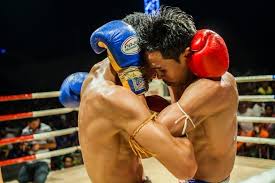 Why you are training mixed martial arts incorrectly. Common misconceptions with separating training into 1 focus (only BJJ, only boxing). Mixed Martial Arts can be divided into 4 dominant skill areasContinue reading to learn more...