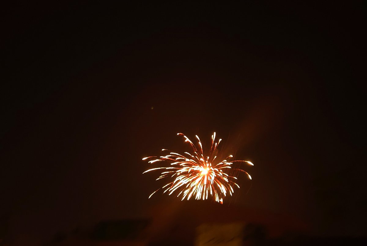 ItsGaurav7's tweet photo. Some Bokeh shots 😍 https://t.co/nI9knxy1Ku