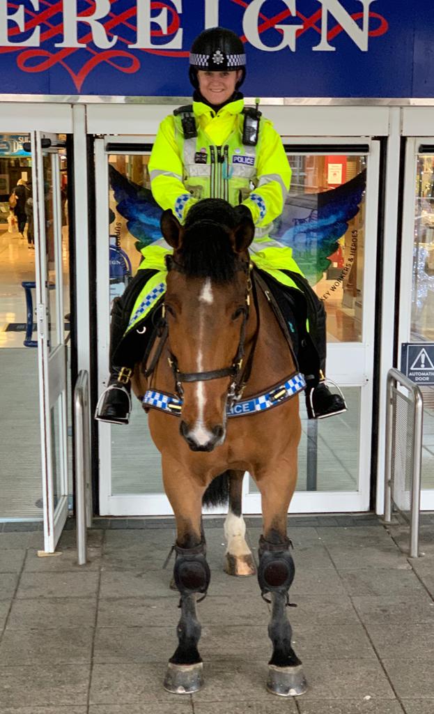 ASPoliceHorses's tweet photo. Hero may need a greater wingspan to get off the ground, but he can dream. #eyeinthesky #pegasus #watchoutbelow! https://t.co/0jZViAFnDb