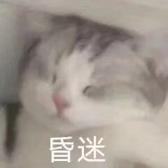 HMJyszdh's tweet photo. 真tm怀疑自己有m属性
我怎么就这么喜欢他这种眼神呢？每次都绝杀 https://t.co/lr21tmvFgH