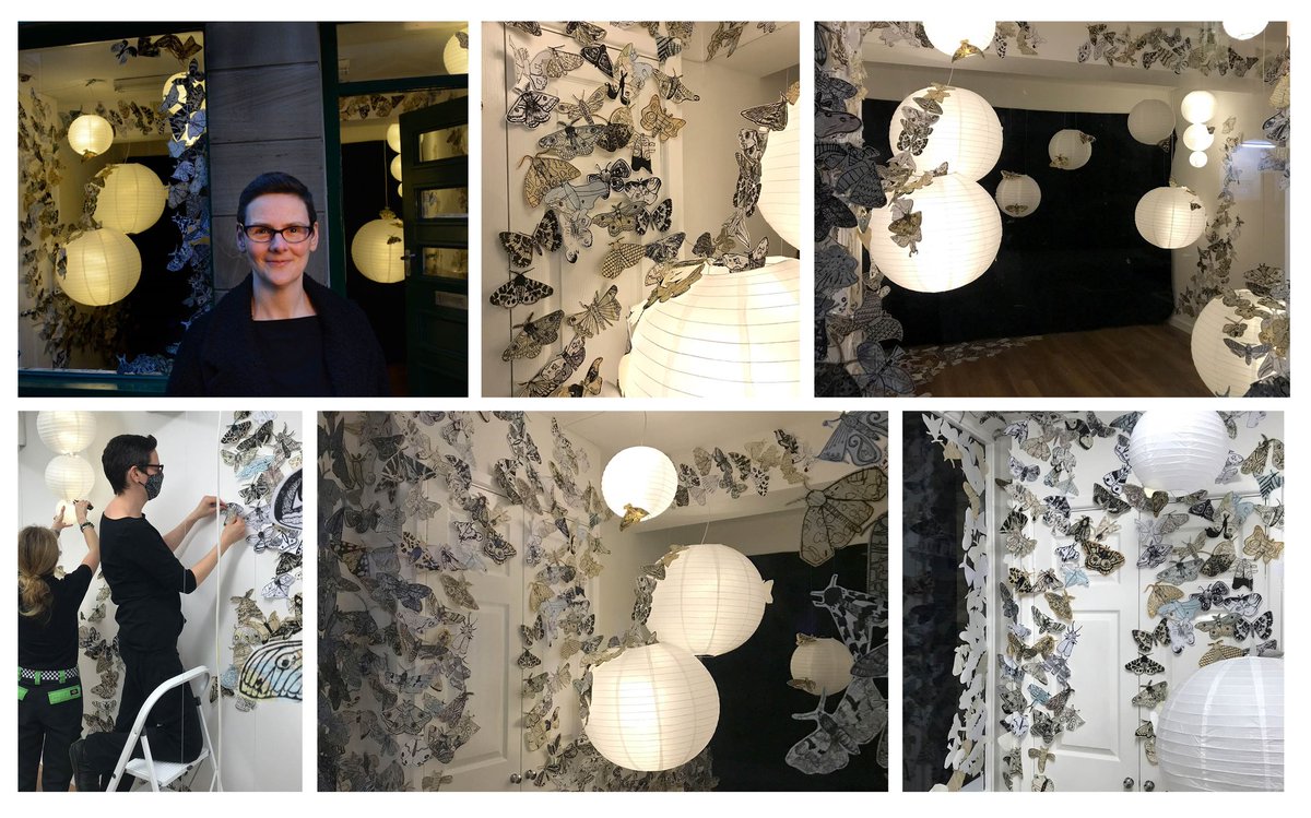 sjf40's tweet photo. Over 300 moth images sent in and over 1000 paper moths to see for #Keepalighton💡Check out the beautiful work of @jennymccabe by heading to New Street. @LancasterCC @Lancaster_BID @TheDukesTheatre @LightUpLanc  
https://t.co/aENCfJy1v1 https://t.co/6KCHawi1lC https://t.co/q8vnGHnuCZ