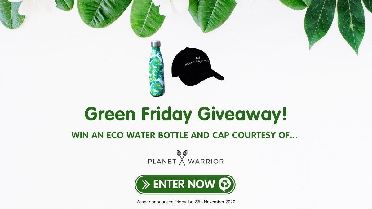 preloved rescue dogs