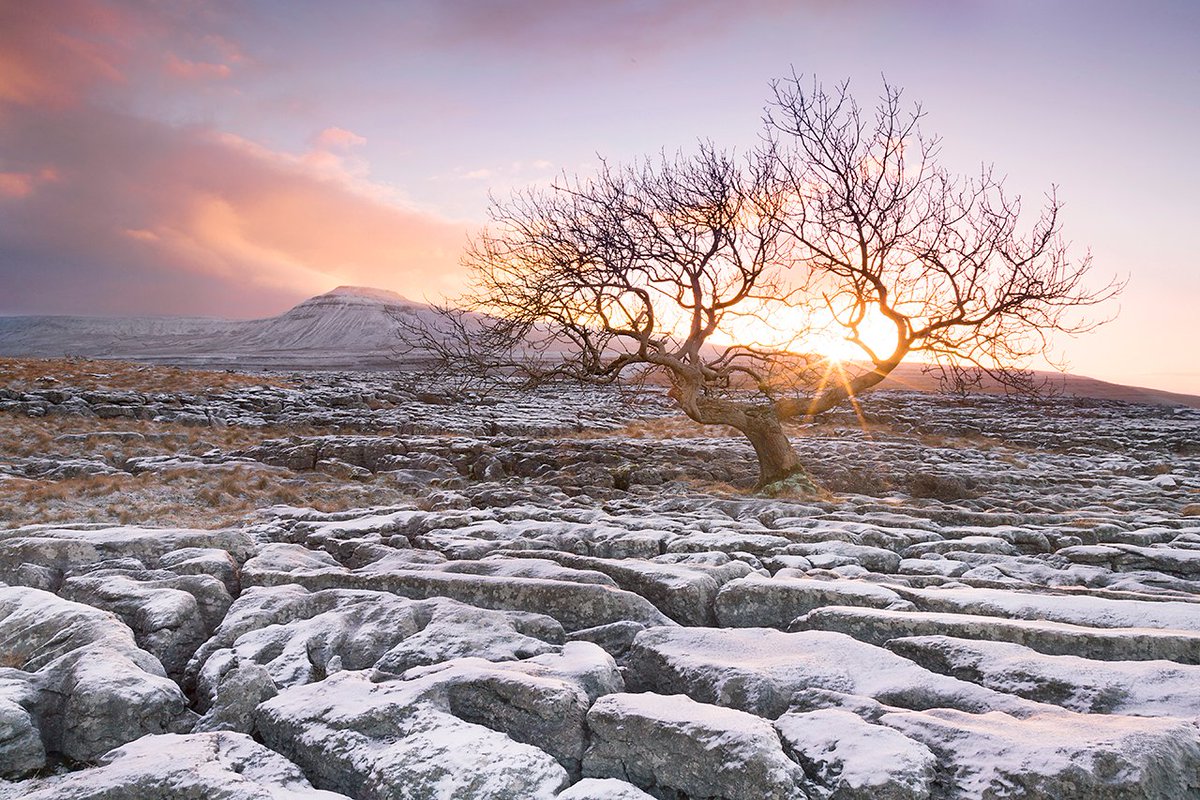 yorkshire_dales's tweet photo. Happy Birthday Yorkshire Dales National Park 🎈🎉

66 years young and still going strong 💪

#YorkshireDales #HappyBirthday #TwistletonScar

📸 Wendy McDonnell https://t.co/xsL5VkiVol