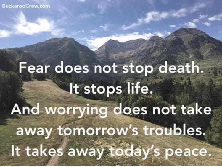 Brenda Mitchell (@brendam3645) on Twitter photo 