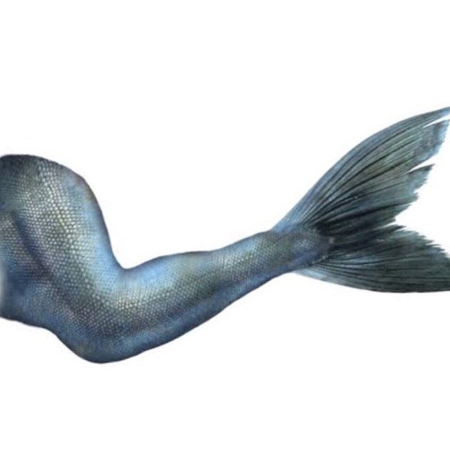 ja3hyawn's tweet photo. Mark Lee mermaid🧜‍♂️ https://t.co/QkrQ4GxxAU