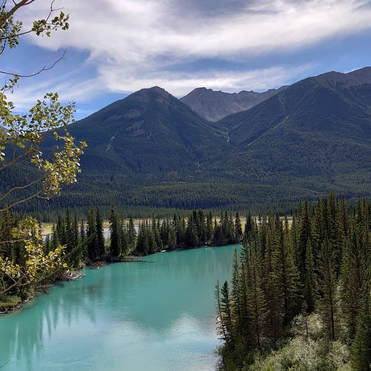 proteksafety's tweet photo. @TicketmasterUK @ProfBrianCox @themonkeycage @robinince We would love too have you come and visit in Alberta too! https://t.co/xOuKk5Lt2u