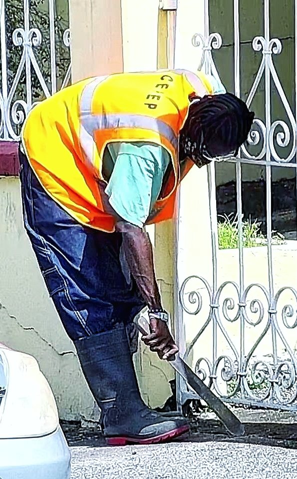 TT_Fietser's tweet image. Chopping invisible weeds!
#MakeWork #LeadershipMatters #TrinidadandTobago