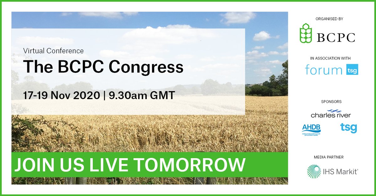 TSG Forum tweet media