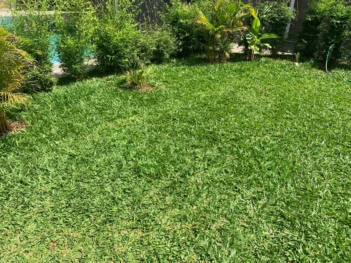 PLandscapers's tweet photo. We are your lanscaping experts... We'll get you value for your money. We're located along Ngong Road next to The Metrological Department. Call us today; 0724 342155 https://t.co/rzhRmp9QNb