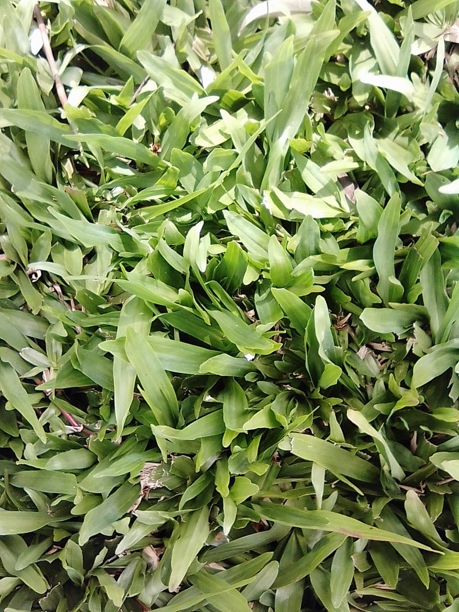 PLandscapers's tweet photo. We are your lanscaping experts... We'll get you value for your money. We're located along Ngong Road next to The Metrological Department. Call us today; 0724 342155 https://t.co/rzhRmp9QNb