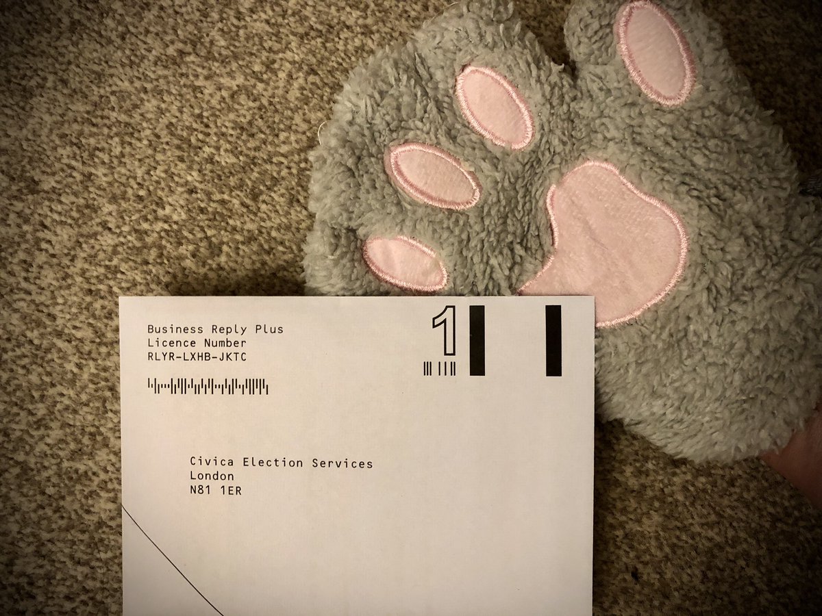 CatCollegiate's tweet photo. Have you posted your ballots, @UCUNUbranch kittens? If you need a replacement, get in touch with the branch. 🐾 https://t.co/kn1RS4gcPU