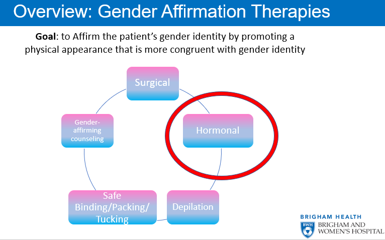 BrighamMedRes's tweet photo. As a part of #TransAwarenessWeek , Dr. Ronnye Rutledge presented a morning report case to expert discussant (and former BWH CMR!) @ohamnvik exploring the nuances of gender-affirming hormonal therapy! 

Pearls 👇 https://t.co/Sr5weWjLyV