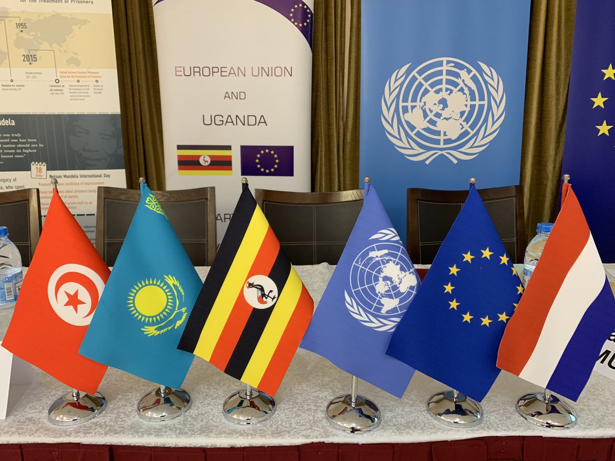 Vera Tkachenko tweet media