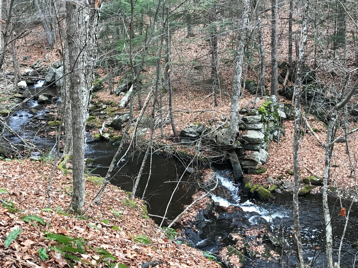 A little western Massachusetts astronomy and telescope history adventure thread, out in the woods! Up in the woods just a comfortable hike from our house is the site of Alvan Clark's grist mill, now just stones in the forest. (Pretty brook video next, though.)