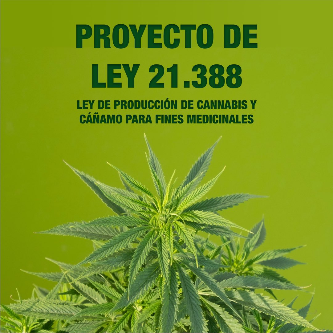 Kinesis TEC tweet media