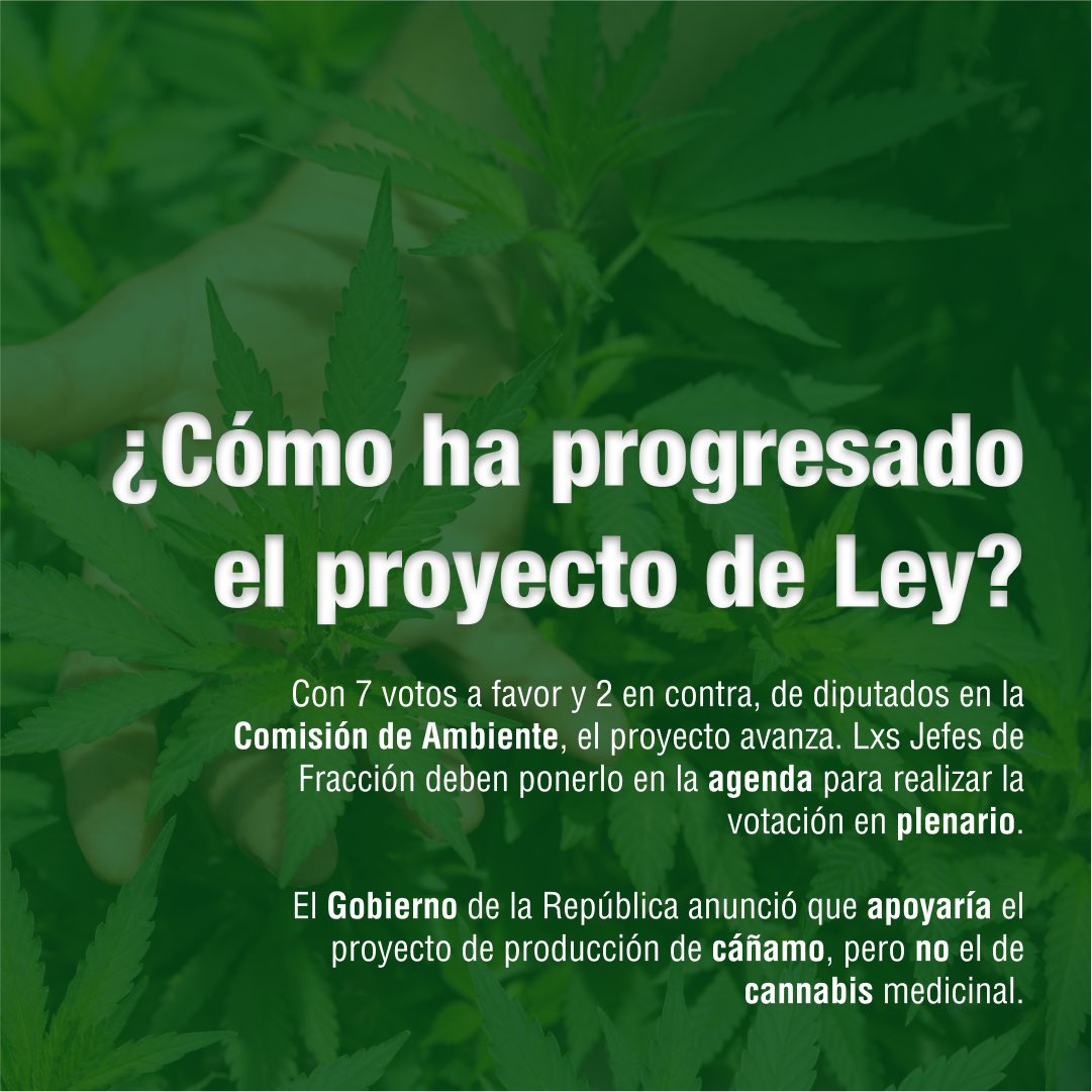 Kinesis TEC tweet media