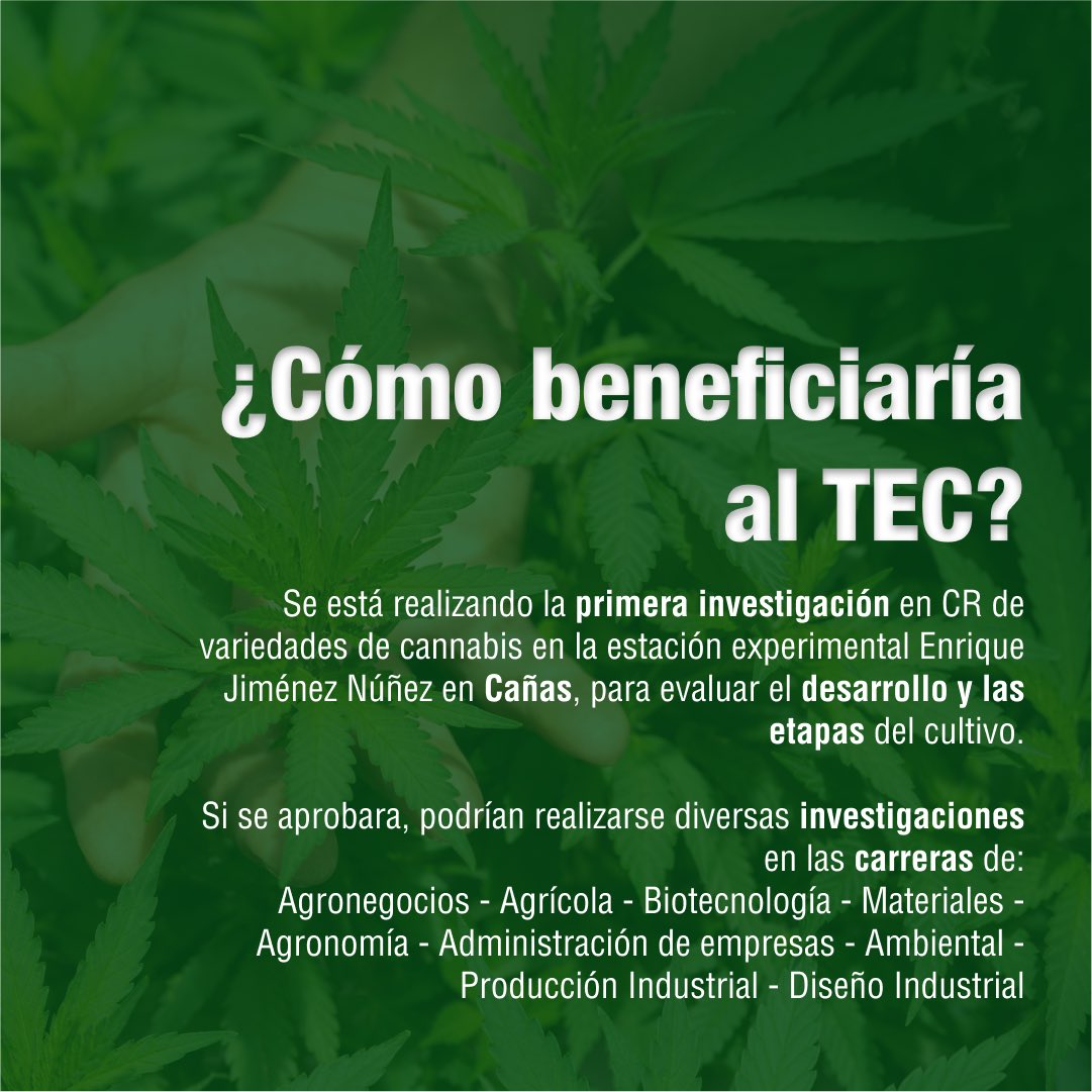 Kinesis TEC tweet media