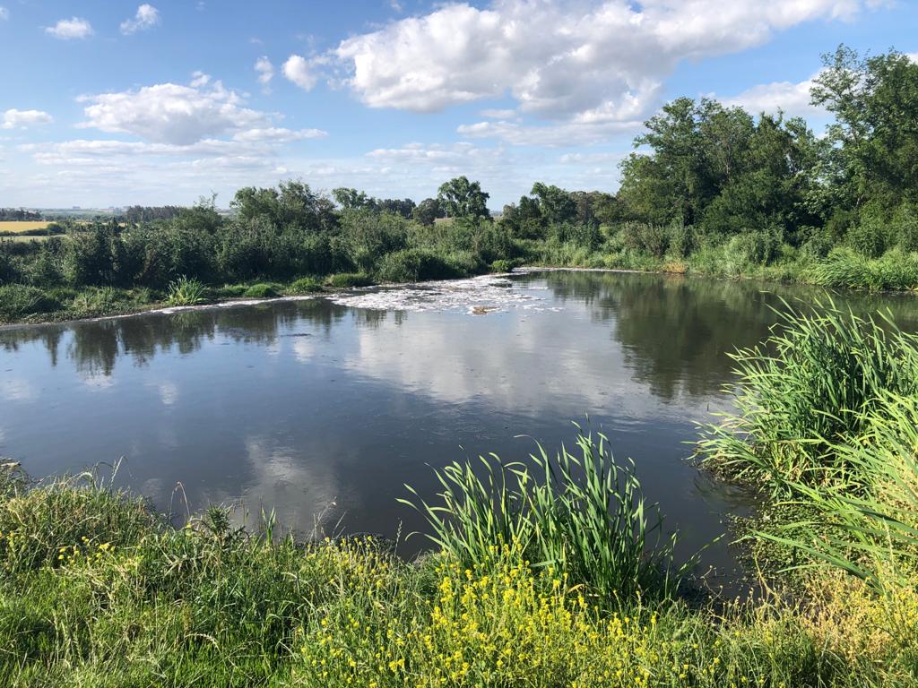 EntrebichitosMEN tweet media