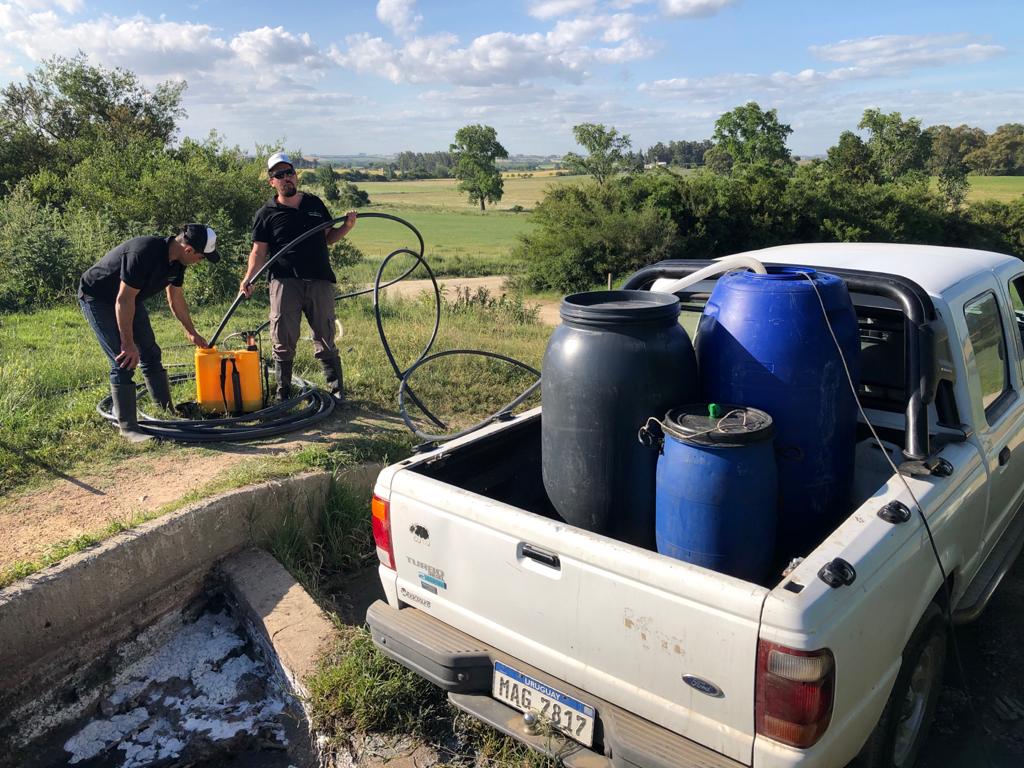 EntrebichitosMEN tweet media