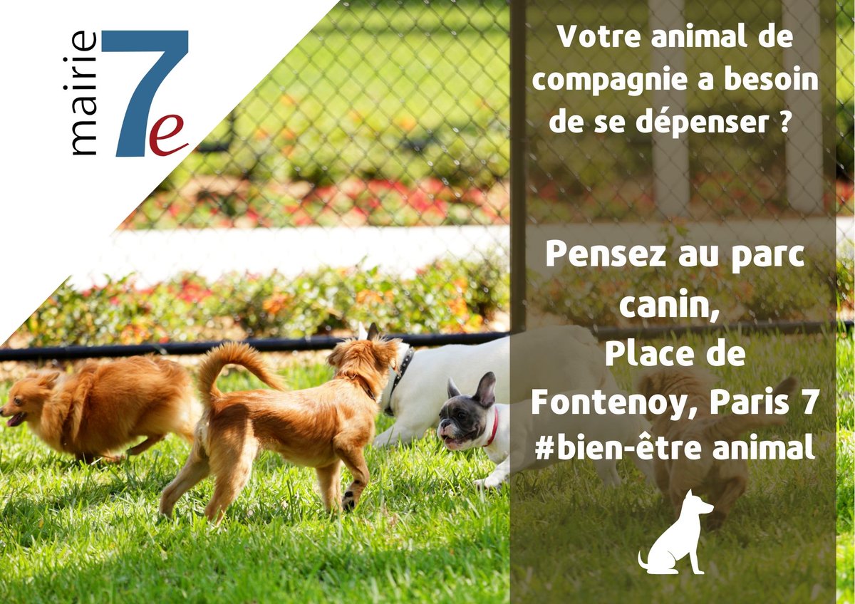 mairie7's tweet photo. 🐶🐕🐾Vous avez un #AnimalDeCompagnie et souhaitez qu'il puisse se promener en liberté, sans laisse, la @mairie7 met à votre disposition l'espace canin, situé Place de Fontenoy.
#bienêtreanimal #securite #animauxenville #ConditionAnimal #COVID19 #ConfinementActe2 https://t.co/B5sXvQhIYP
