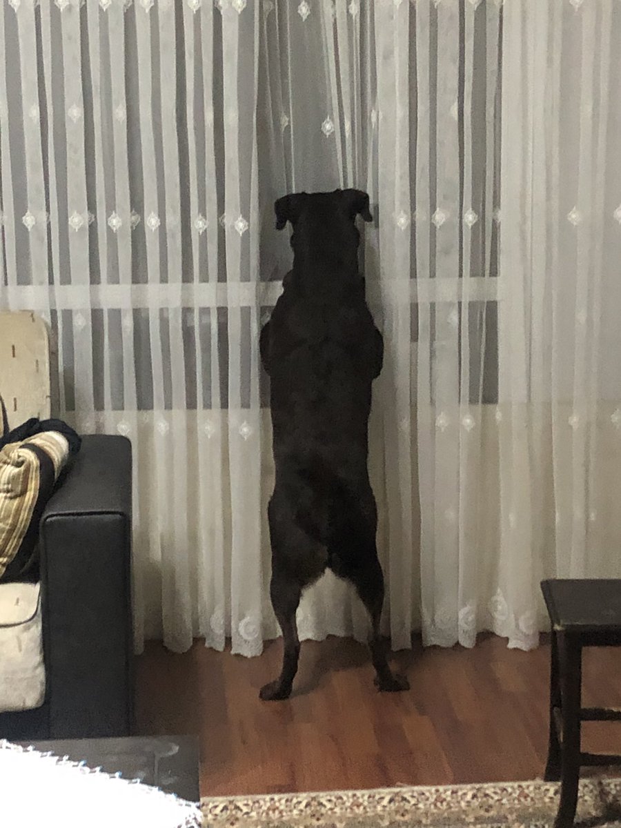 Kardeşim o hareket öyle yapılmaz dur göstereyim.